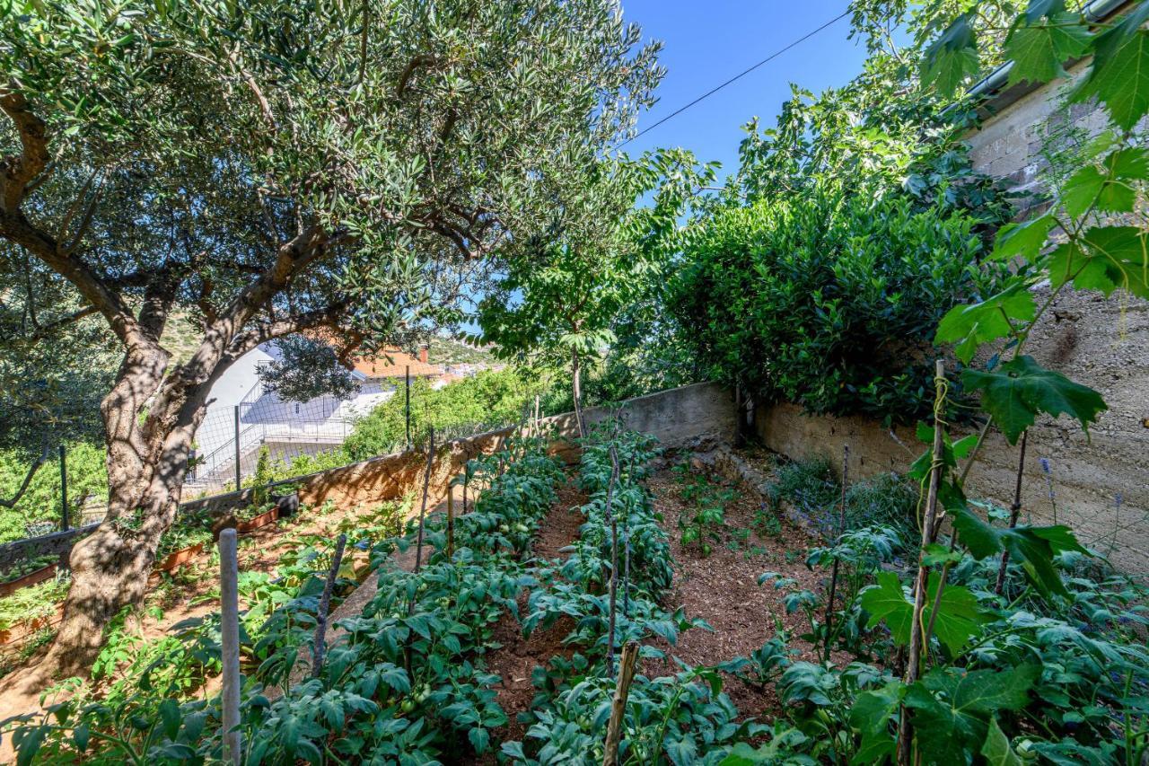 Apartments Kardum Šibenik Exteriér fotografie